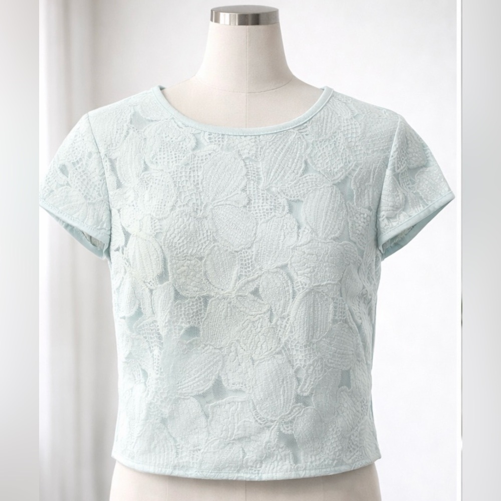 Ted Baker Light Blue Lace Crop Top